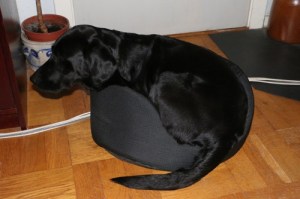 140329keelalitenkorg